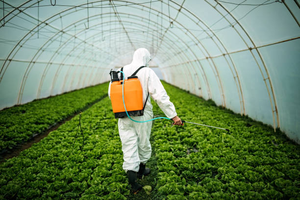 Best Local Pest Control Services  in White Oak, OH