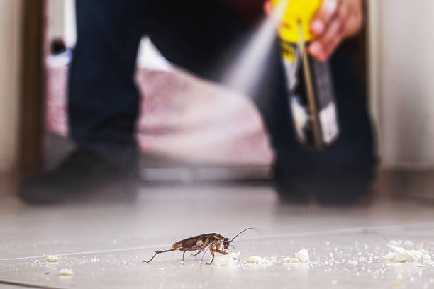Best Exterminator Services  in White Oak, OH